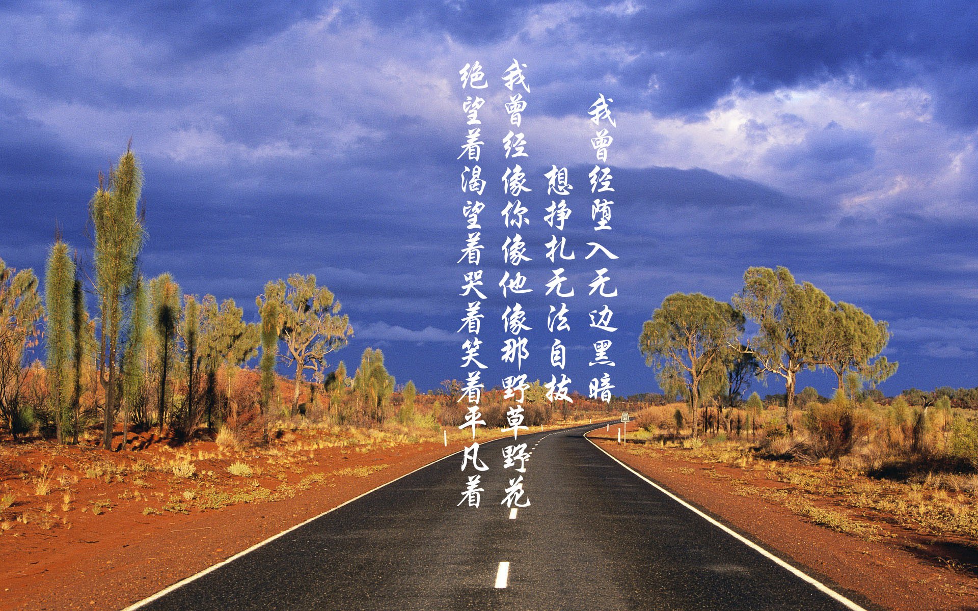 爱游戏电竞-洛杉矶FC计划举办青少年足球训练营，培养未来之星，洛杉矶fc足球俱乐部