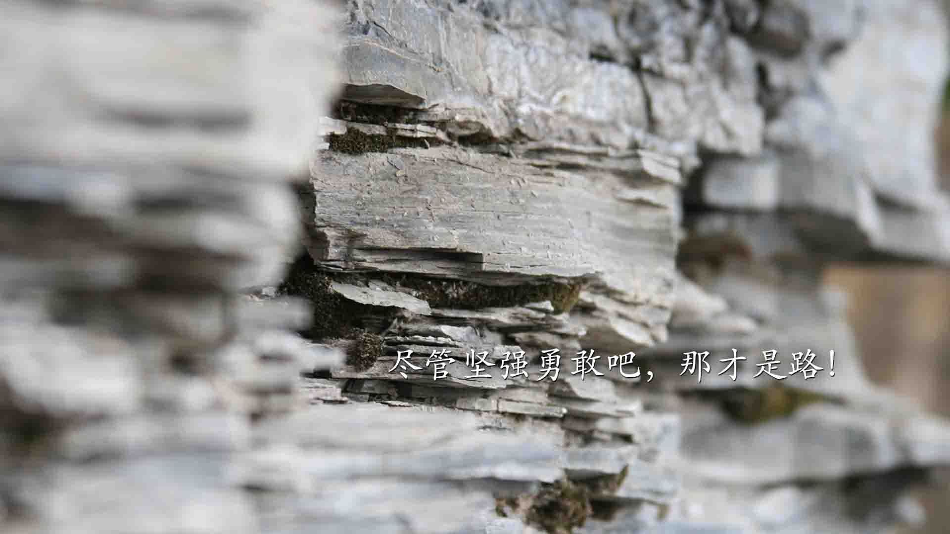 职业篮球运动员营养计划制定，职业篮球运动员营养计划制定方案