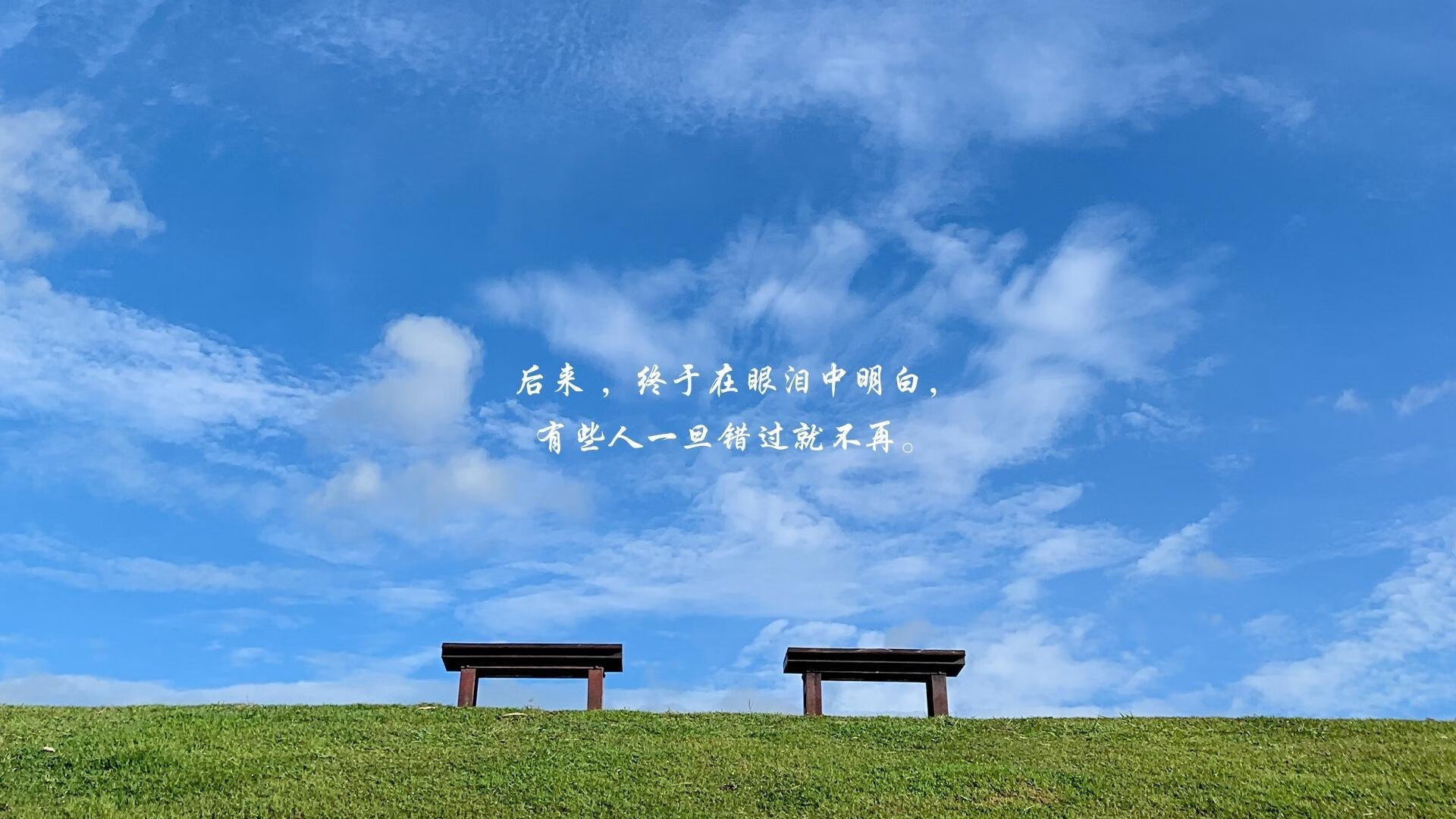 爱游戏娱乐平台-莱斯特城与利物浦激战，展现竞争力，莱斯特城利物浦战绩