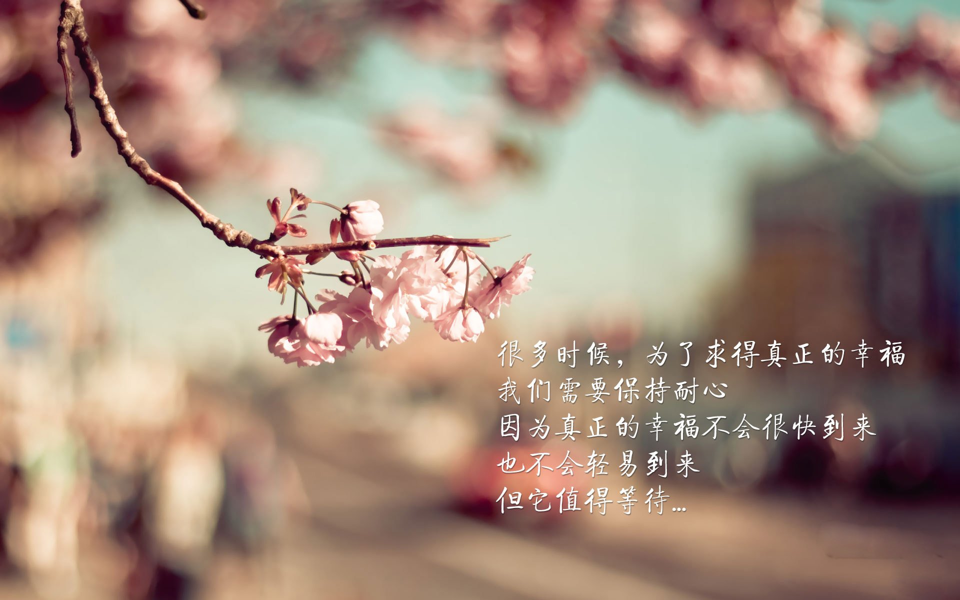 中国青少年篮球运动员心理健康促进策略，篮球心理训练