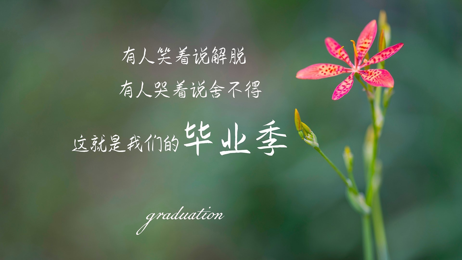 篮球运动员专项体能训练效果评价体系，篮球运动员的体能训练涵盖的六大项内容