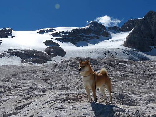 AYX官网-中国足球青少年训练课程涵盖足球历史知识，中国青少年足球发展规划纲要