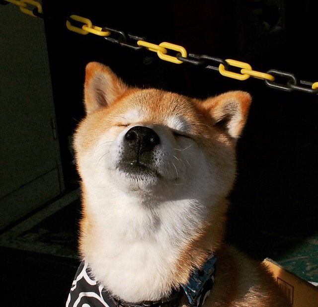 斯洛伐克女篮在欧洲锦标赛中崭露头角,迎来新机遇