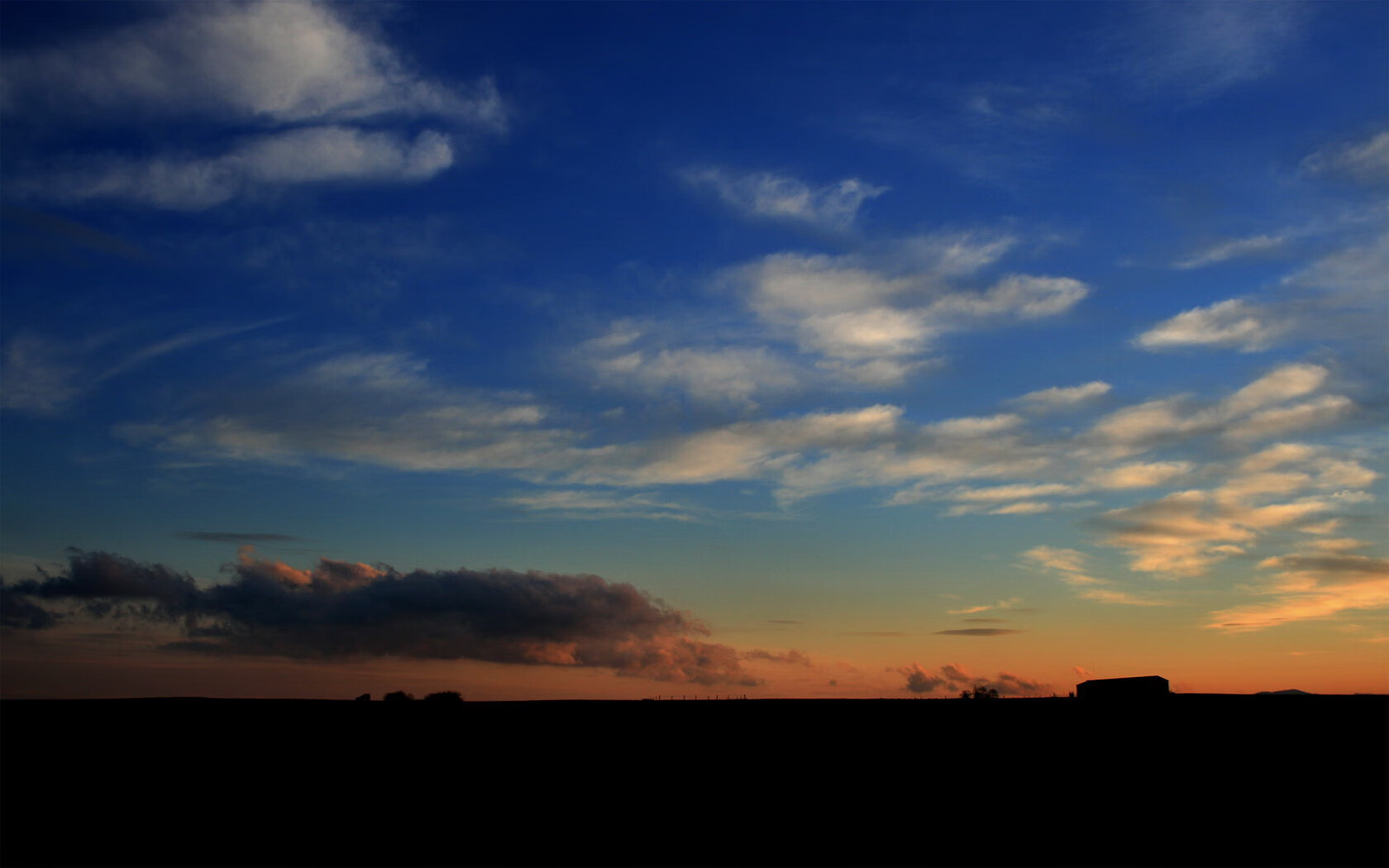 爱游戏体育-普里戈达蛙泳决赛出场气势如虹，普里戈金百度百科