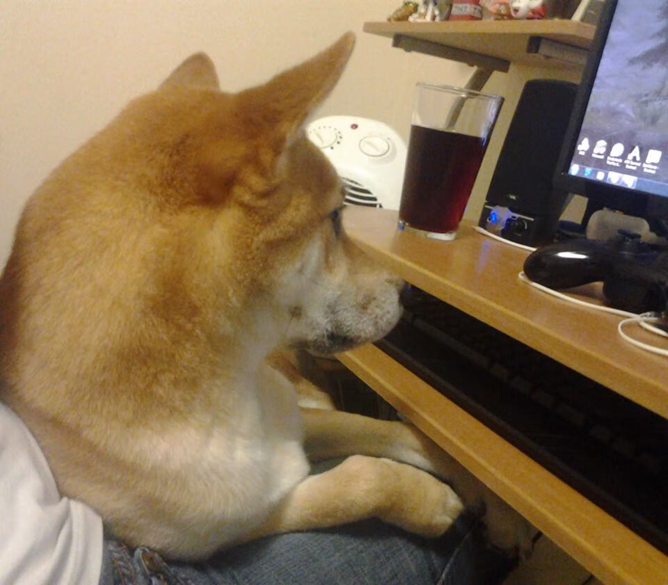 法甲未来之星：新星崭露头角，竞技值爆表！，门将未来之星