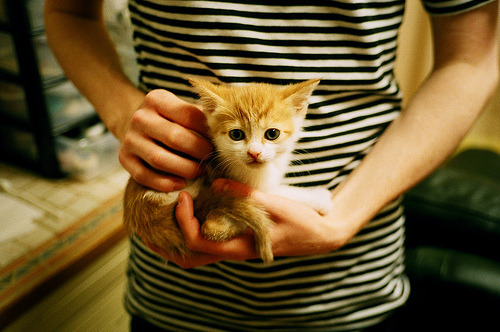 AYX官网-王宗源赛后分享训练心得，王宗源比赛视频