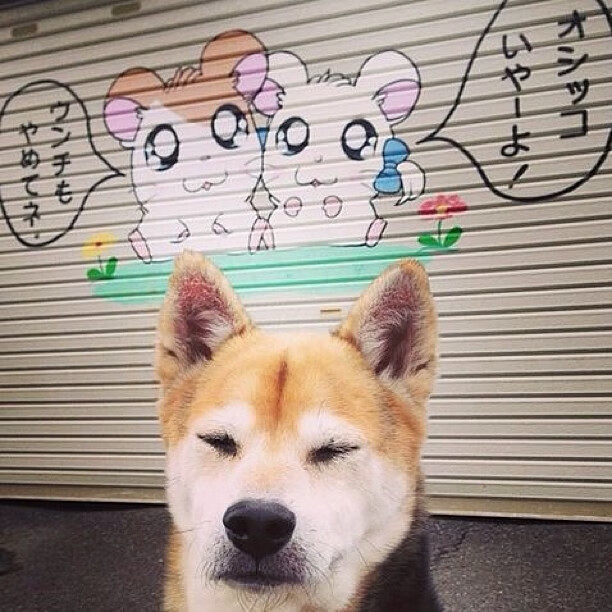 -西甲青训体系的国际合作经验，西甲青训最好的俱乐部