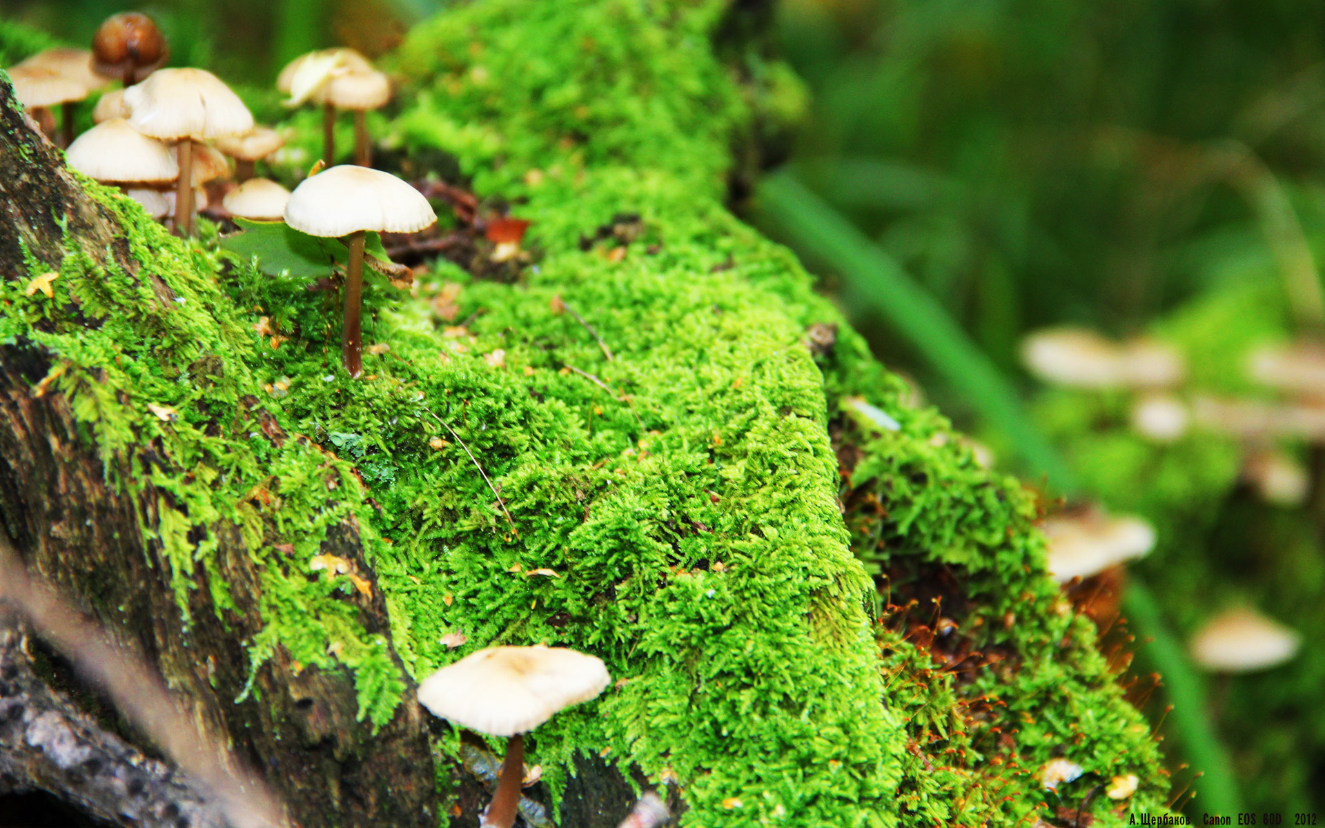 青训选拔更注重球员潜力而非阶段性成绩,青训选拔机制